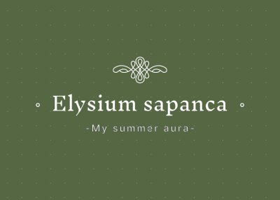ELYSİUM SAPANCA