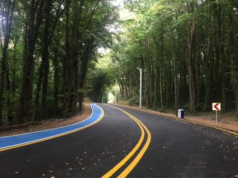 Sakarya İl Ormanı ve Tabiat Parkı