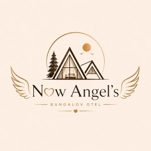 NOW ANGELS 1