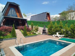 ADAGULİ BUNGALOV SAPANCA 2  -ANTRASİT EV
