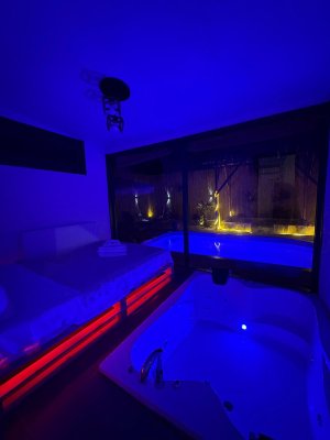 THEOS LUXURY HOTEL SPA SAPANCA - TAŞ EV