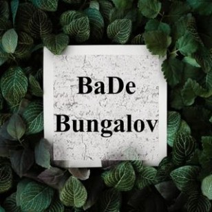 BADE BUNGALOV