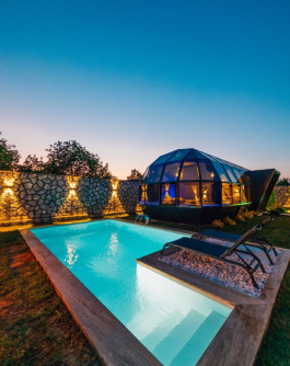 BALİ SAPANCA
