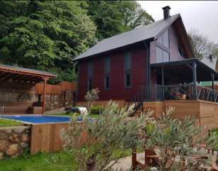 SAPANCA MANDALİN PATULYA AĞAÇ EVLERİ